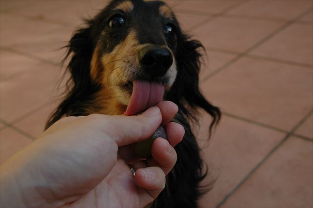 ペロペロ・・ルパンの下の温度、今でも覚えてるよ。