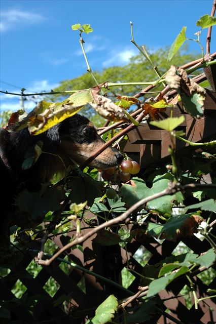 抱っこしてあげる！　どんな匂い？もう食べれそう？