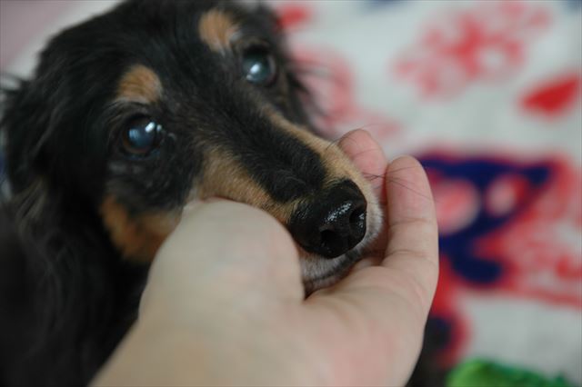 あ・ご♪ ルパンのあごの温度と感触、今でもよく覚えてる。