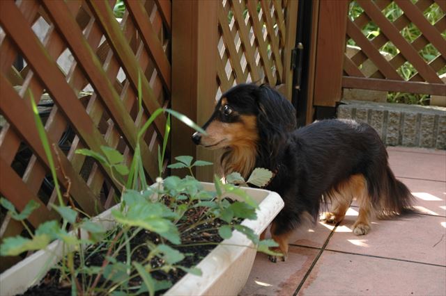 外、気になるね。