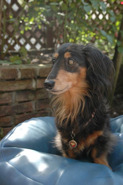 ルパン、大好き♪