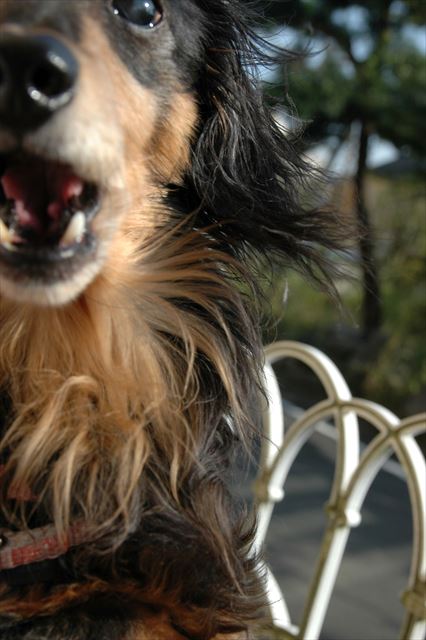 なーに？美味しかった？もっと欲しい？