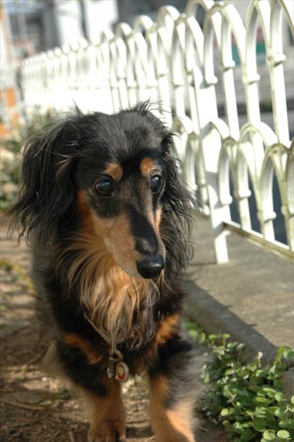 この場所で、ふたり毎日遊んだね・・。