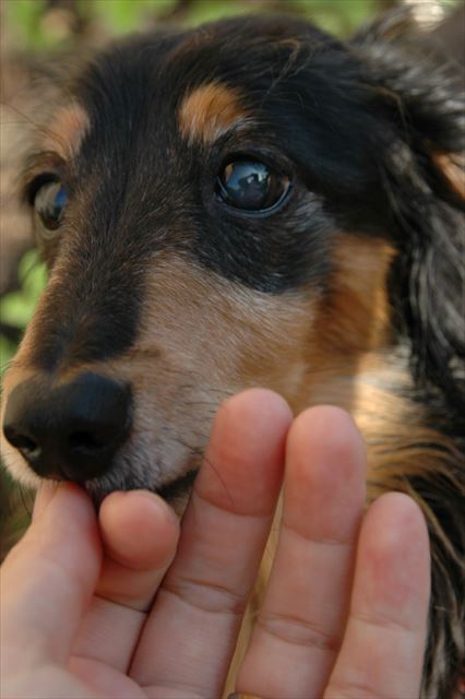 るーちゃん、大好き♪