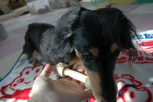 はい。これで遊んだら？