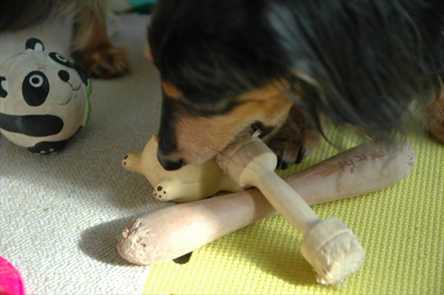 それは固いぞ。うまく噛めるかな。