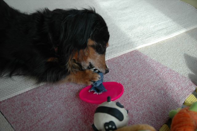 ルパンが喜ぶこと考えるの、楽しかったなぁ。