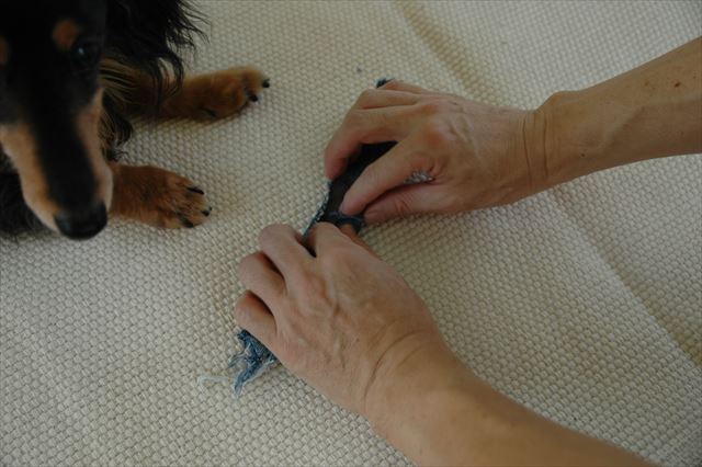 イイコに待ってる・・