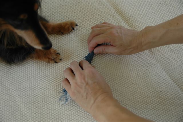 いいこに待ってるね。