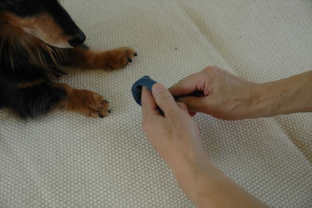 楽しみだねぇ・・何が入ってるかな？