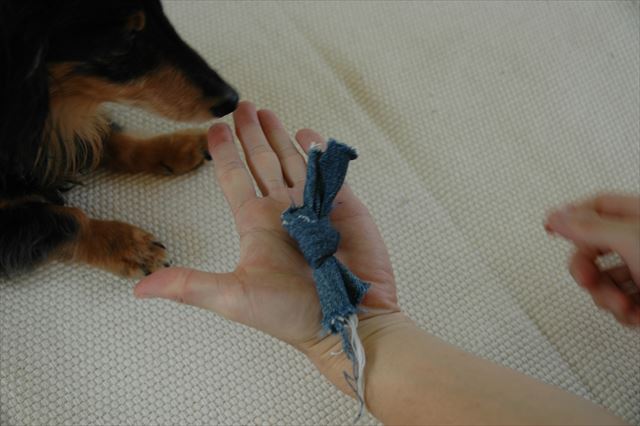 いっぱい遊んでくれてありがとね。