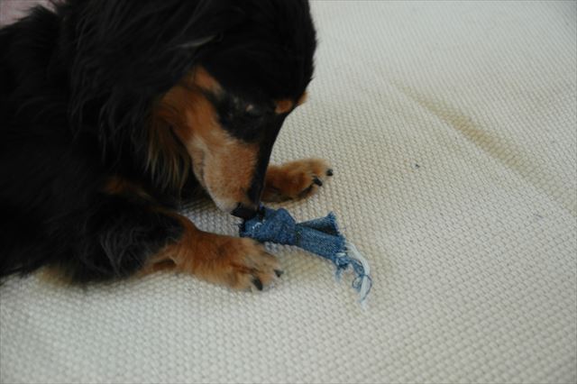 ルパンはすごいよね。器用にほどいて食べるよね。