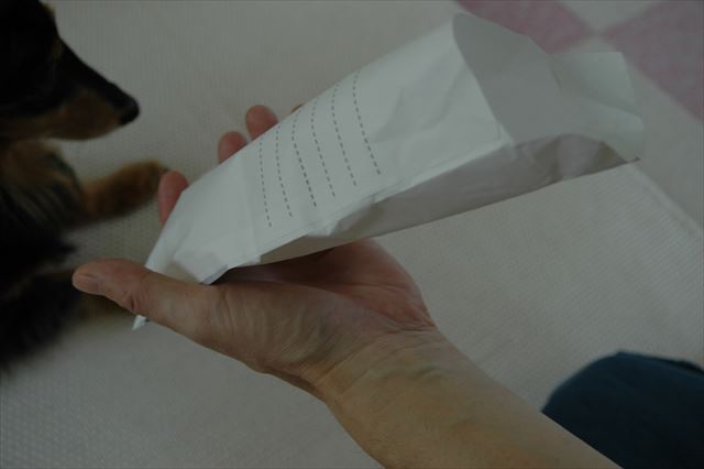 ルパンにおもちゃを作ってあげる時間も幸せだったよ。