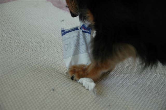 この部屋でよく遊んだね。今でも大事な部屋だよ。