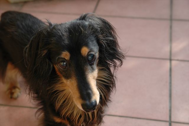 うんうん、遊ぶよ。いっぱい遊ぼうよね。