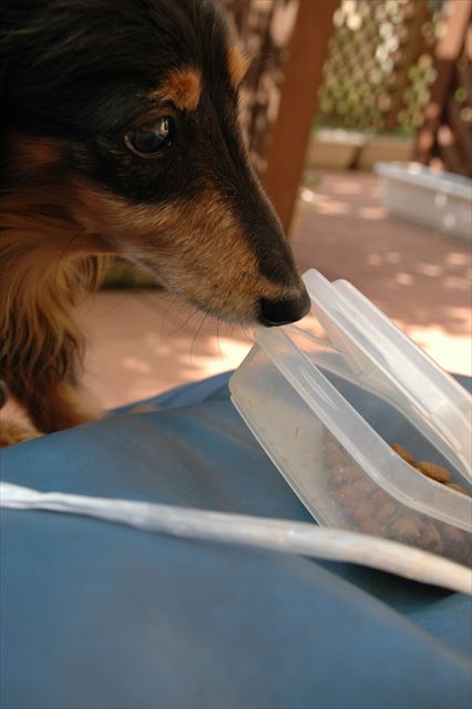 いるの？うん、あげようね。