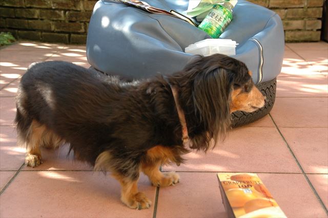 ここで遊ぶの楽しみだったよね。