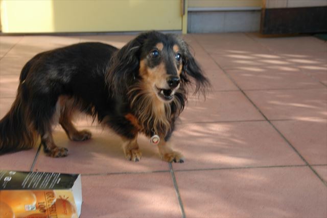 お外で遊ぶの大好きだったね。楽しかったよね。