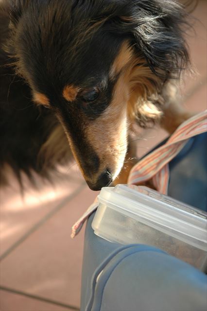 いたずらっこのルパンが大好きだったよ。