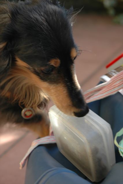 うふ。やってるやってる・・♪