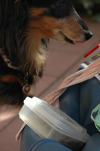 舌もかわいい。すべてがかわいい♪