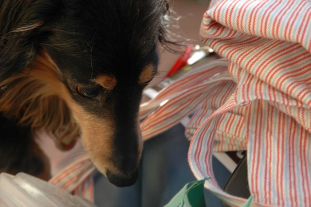 落ちちゃった！