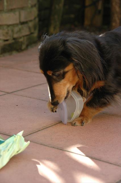 よいしょっと・・開いた開いた♪