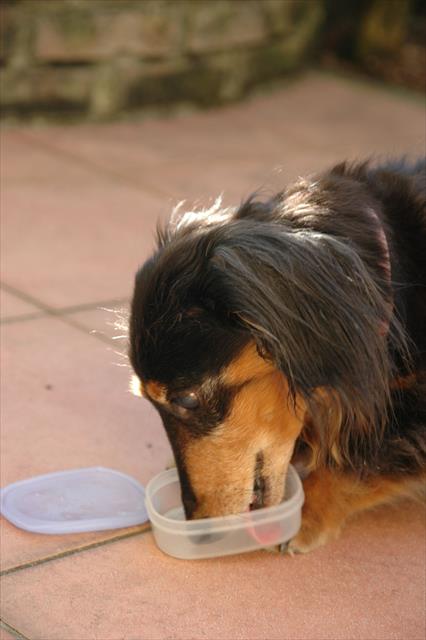 んーーうまいっ！