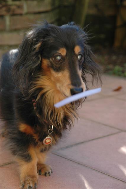 もっとちょうだい！