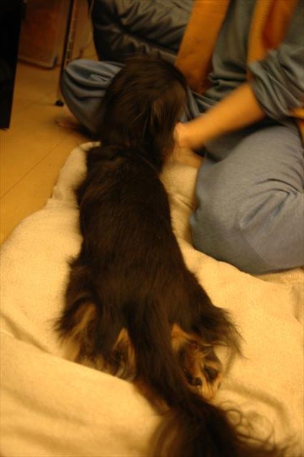 足を後ろに投げ出すお決まりのポーズ。くつろぎのポーズ。