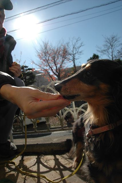 寒くてもここだけはポカポカ。イチゴ、半分こしよう！