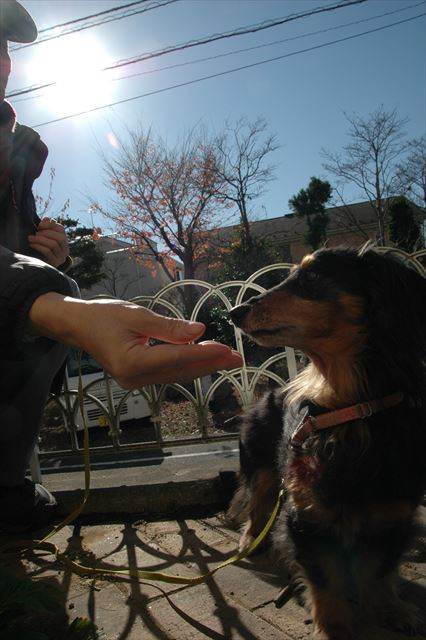 ここは思い出の場所だよね。ね、ルパン。