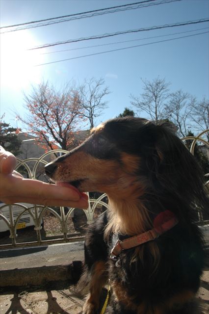 ここはいつまでもルパンの場所だよ。いつでも帰っておいで。