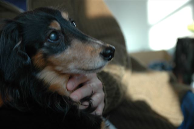 なでなで・・気持ちいい？