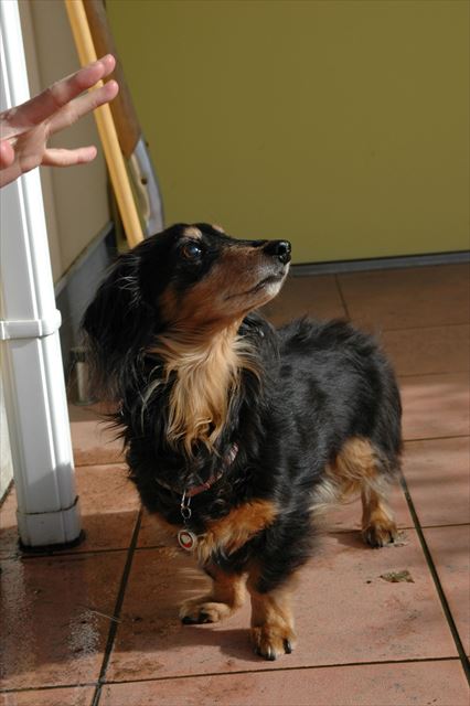 papaの手上だよ。・・「ん？」