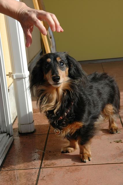 ほら上だよ、上！papaにいたずらされちゃうぞ～。