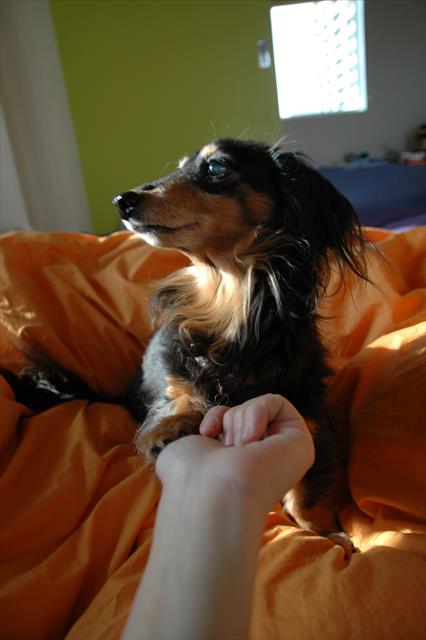 「どっちに入ってる？」何をするにもルパンは一生懸命。