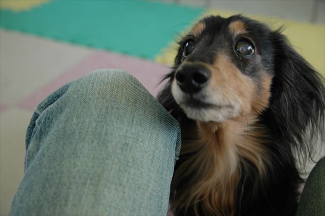 「上手でしょ。ごほうびは？」かわいい。たまらなくかわいい♪