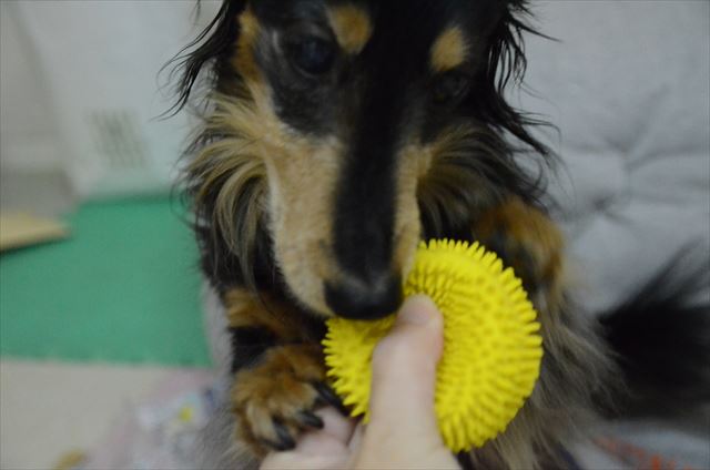 もう１回なの？もっと遊ぼうよね！