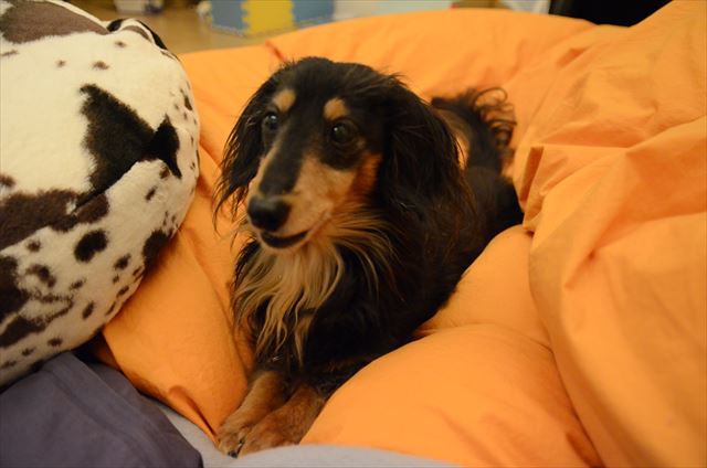 おめめ覚めたのね。