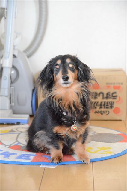 冷蔵庫の前。何かしゃべってる！訴えてる！キャベツ欲しいの？