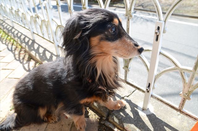 外見てるのが好きだったね。ルパンとここにいるのが私も好きだった。