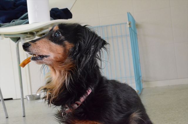 「ん？何？」突然我に返ったように、よくこんな顔したよね。