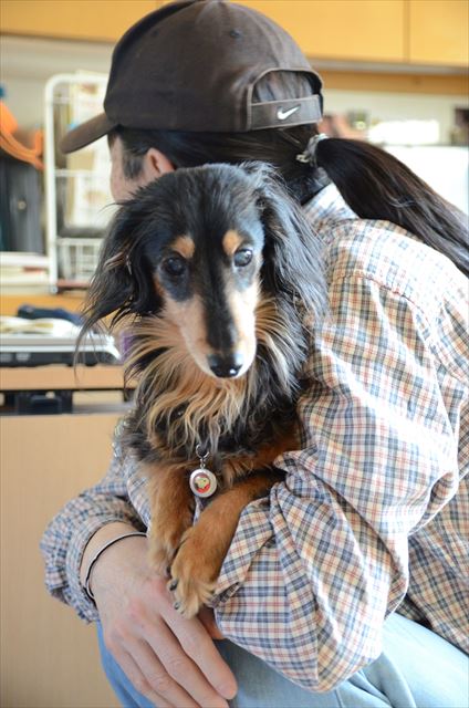 「だっこ！」これで安心。置いて行かれなくて安心。