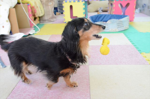 「ポーン♪」ルパンは投げるのも上手だったよね。