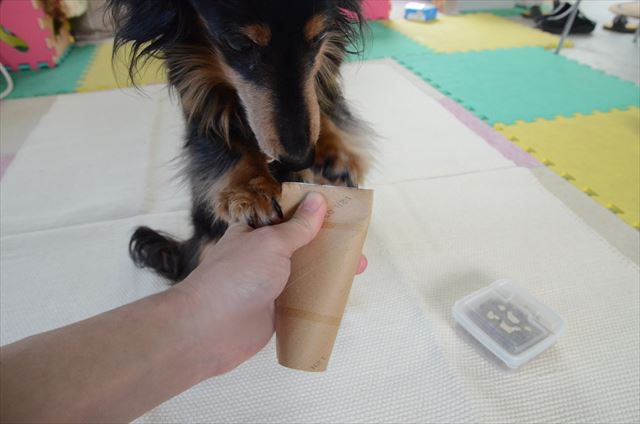 「早くちょうだい！」トイレットペーパーの芯におやつ。