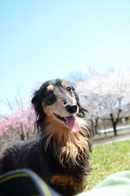 ルパンありがとね。たくさん愛をくれてありがとね。