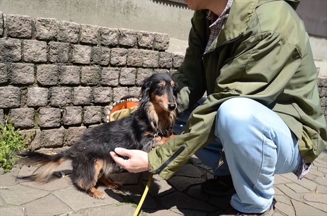 「だっこ」。今日はたくさん歩いたね。だっこだね。