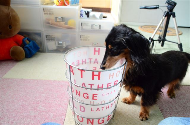 ゴミ箱にポイ。ありがと。お手伝いしてくれてありがと！