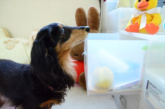 そうだね、そこにボール入ってるね。取ってあげるね。遊ぼうね。